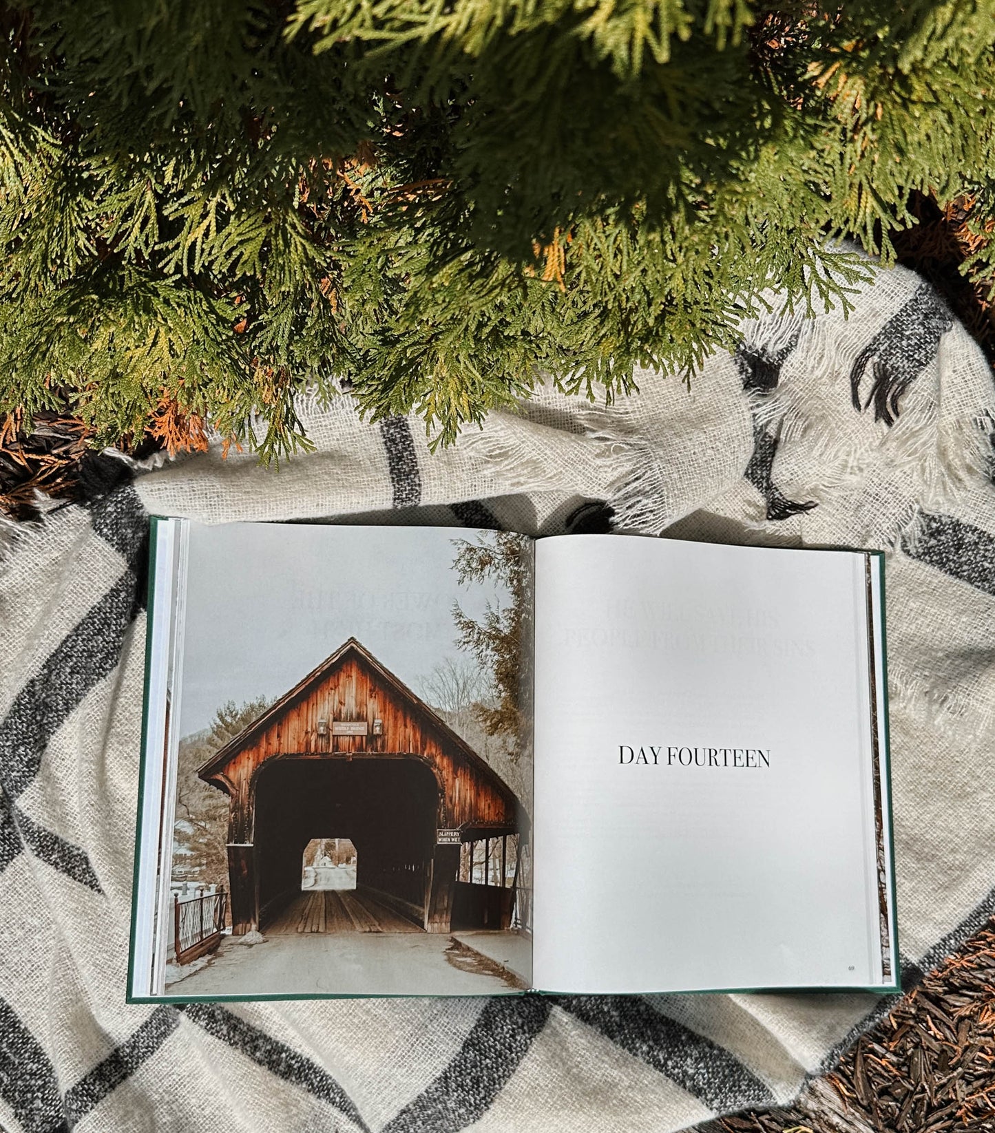 Heaven and Nature Sing (FCO)