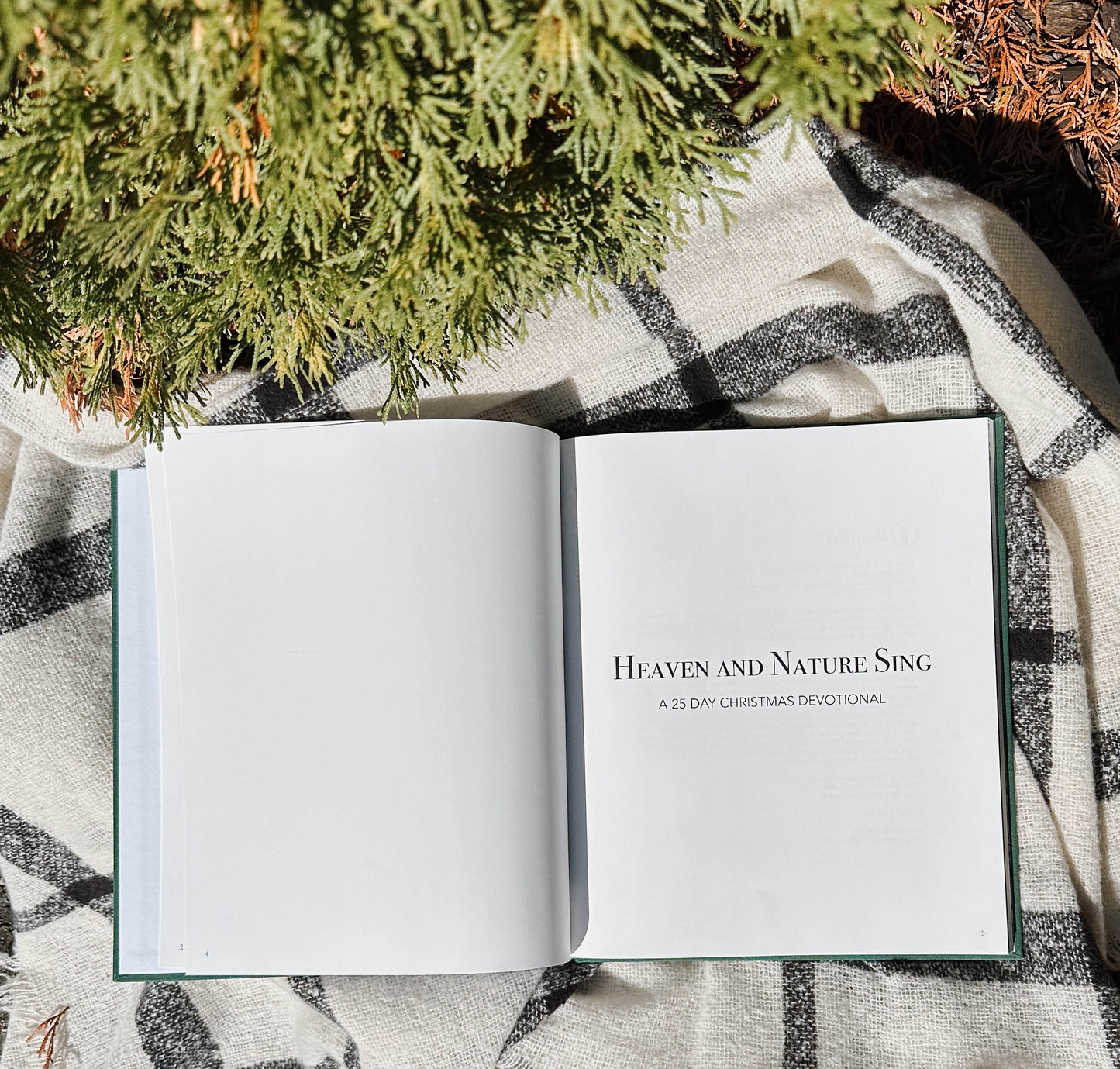 Heaven and Nature Sing (FCO)